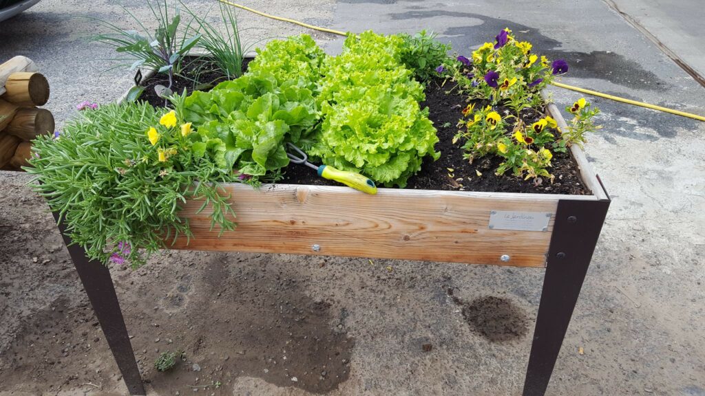 Cultiver des produits avec Jardinou
