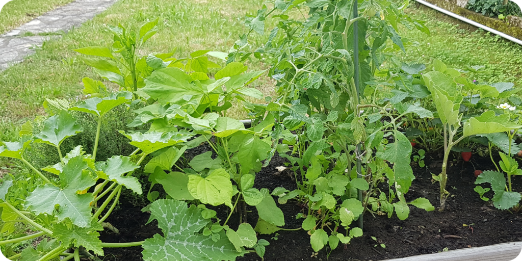 Cultiver des produits avec Jardinou